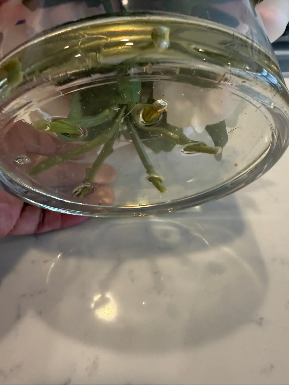 Faux Blush Pink Peony Floral Arrangement in Glass Vase Faux Water Cottage Decor
